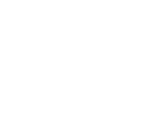 Papa`s Burger