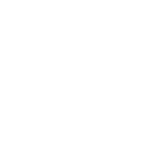 Beerbasha