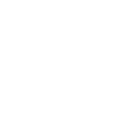 Rose Bar Crocus Сity